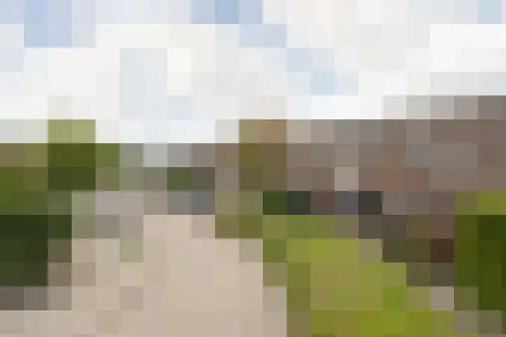 Walstro 67 Sneek thumbnail 36