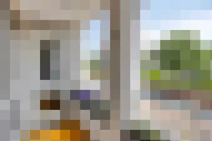 Walstro 7 Cuijk thumbnail 13