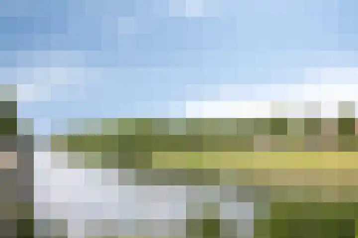 Walstro 7 Cuijk thumbnail 27