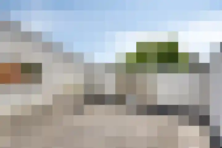 Walstro 7 Cuijk thumbnail 6