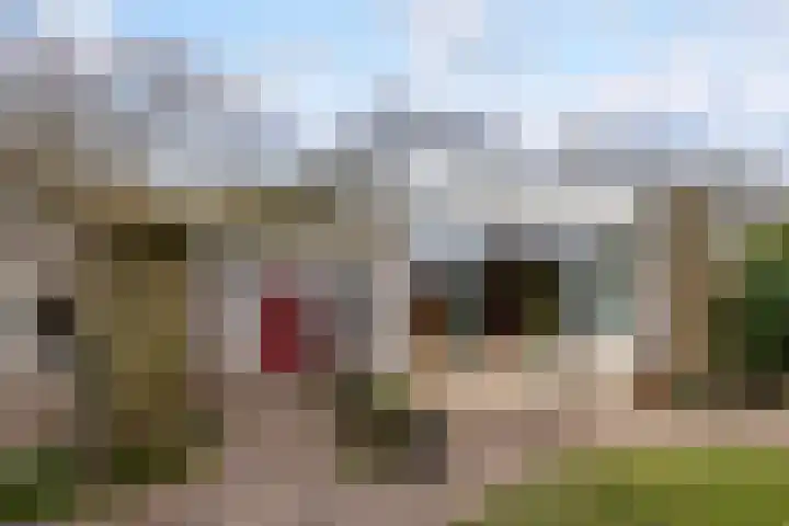 Walstro 70 Leusden foto 2