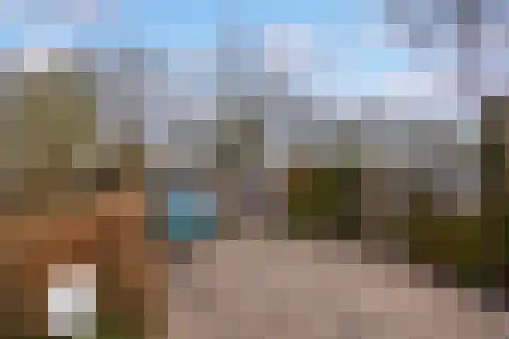 Walstro 70 Leusden foto 3