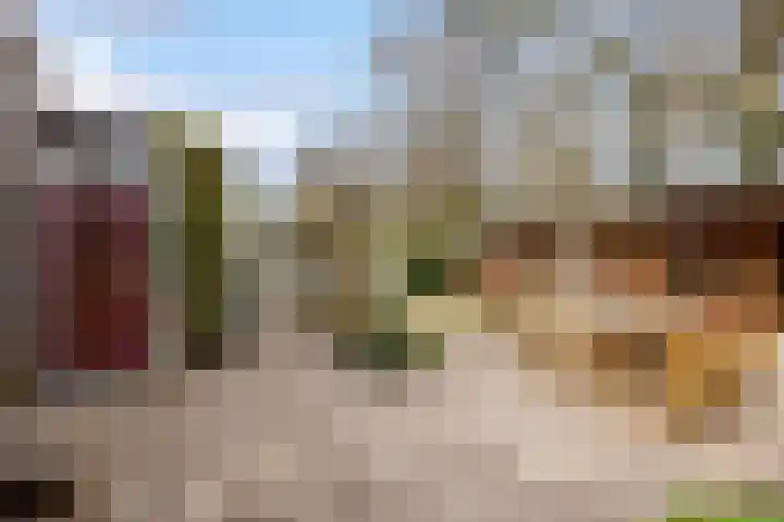 Walstro 70 Leusden thumbnail 32