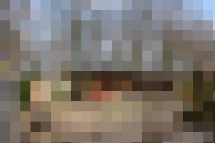 Walstro 70 Leusden thumbnail 33