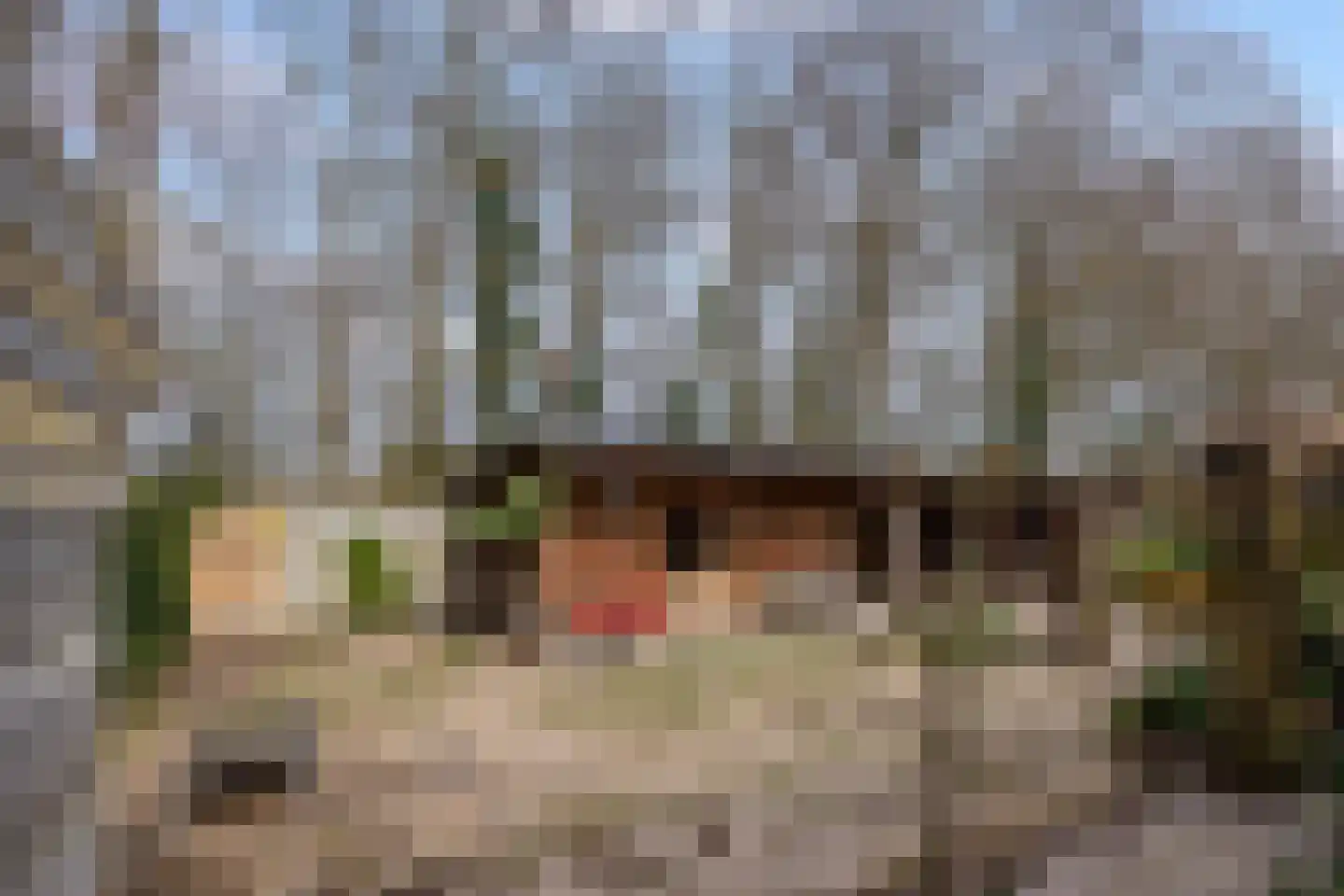 Walstro 70 Leusden thumbnail 33