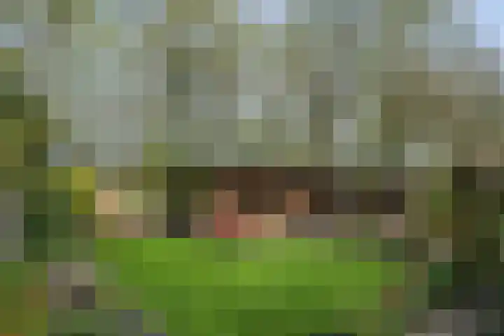 Walstro 70 Leusden thumbnail 34