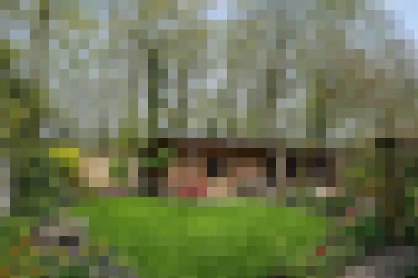 Walstro 70 Leusden thumbnail 34