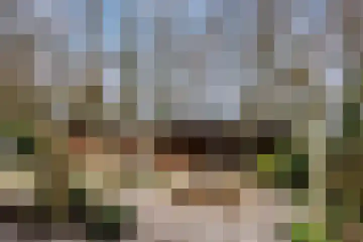 Walstro 70 Leusden thumbnail 35