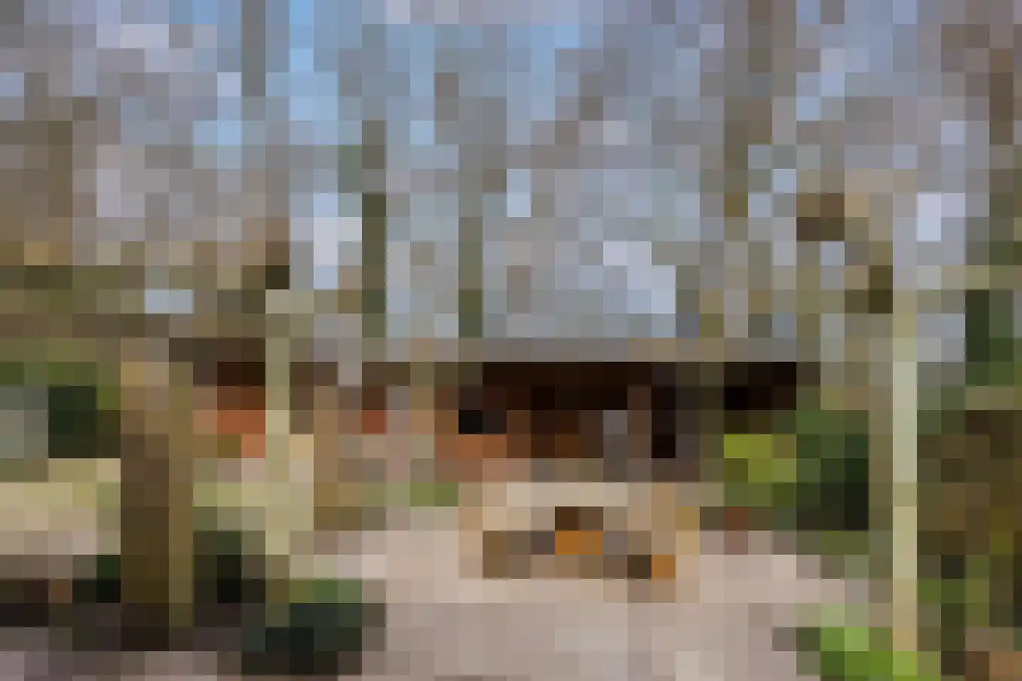 Walstro 70 Leusden thumbnail 35