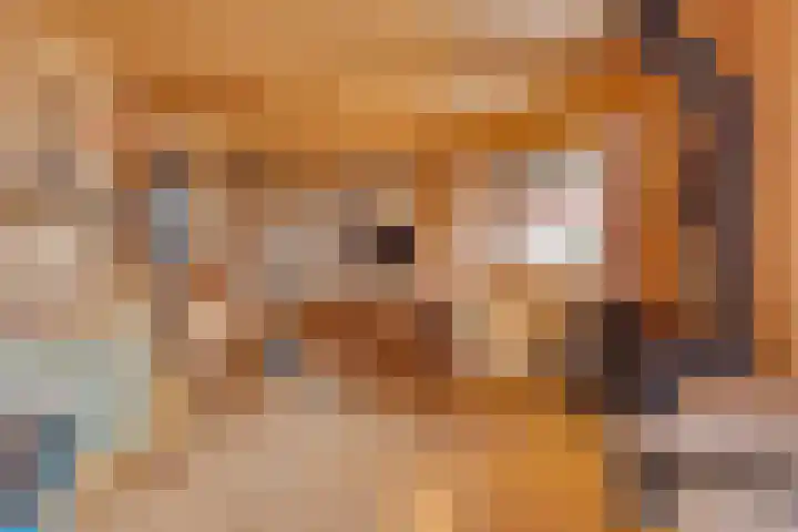 Walstro 70 Leusden thumbnail 39