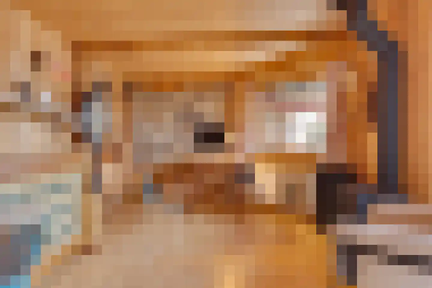 Walstro 70 Leusden thumbnail 39