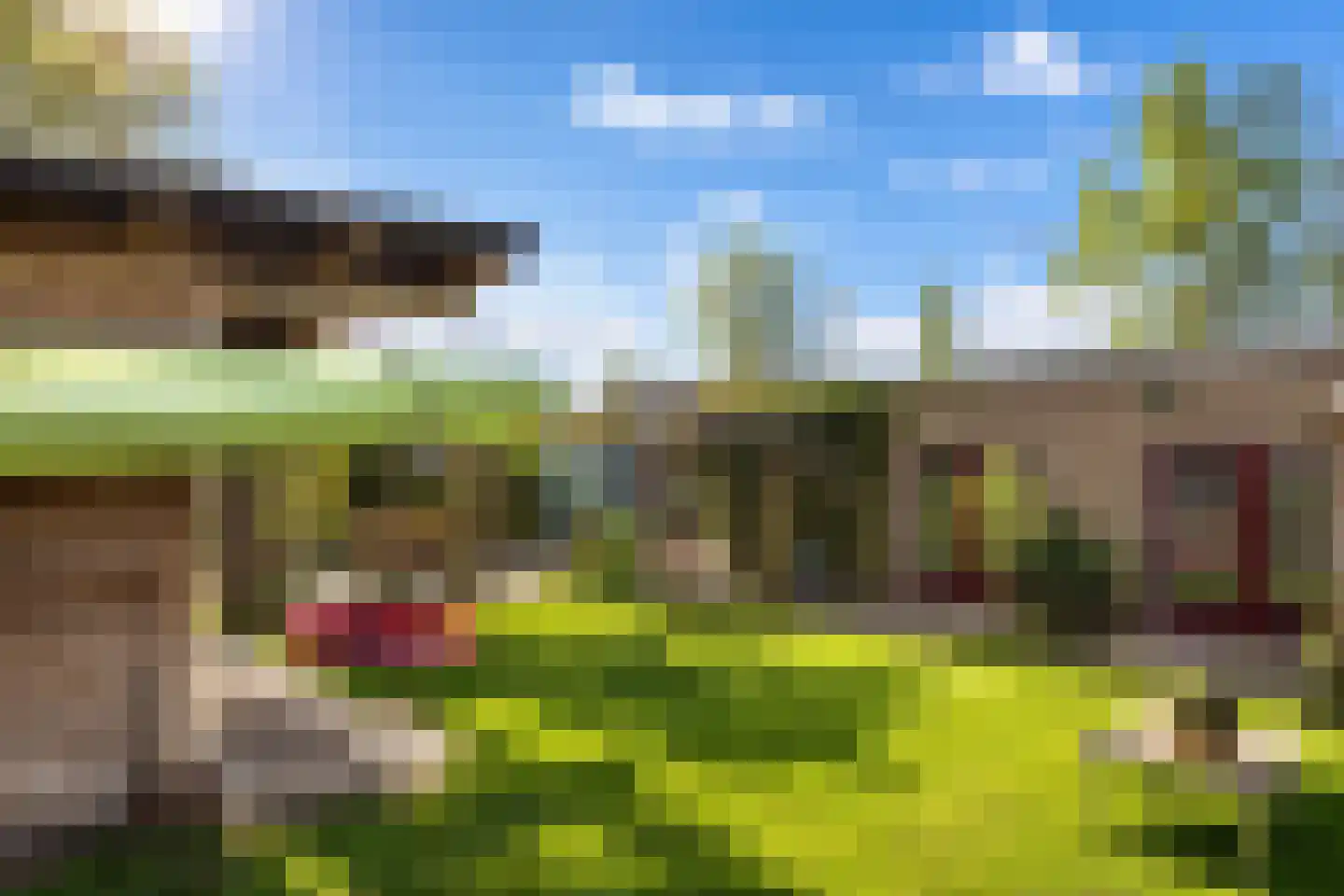 Walstro 70 Leusden thumbnail 43