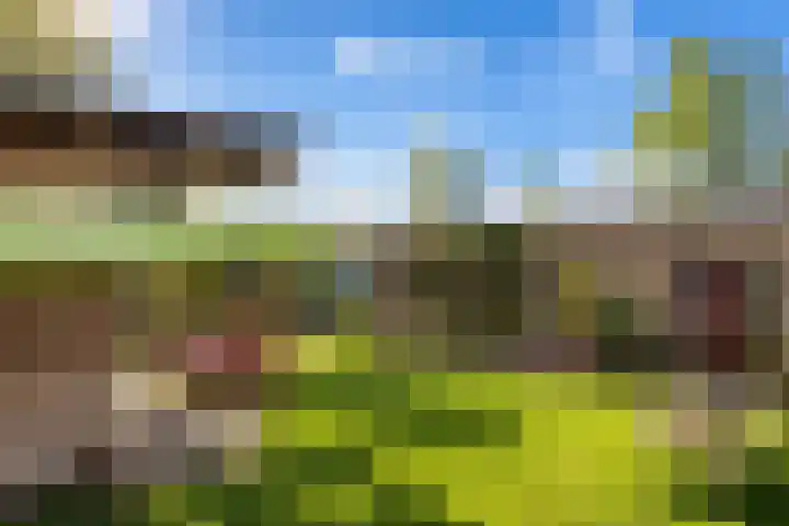 Walstro 70 Leusden thumbnail 43