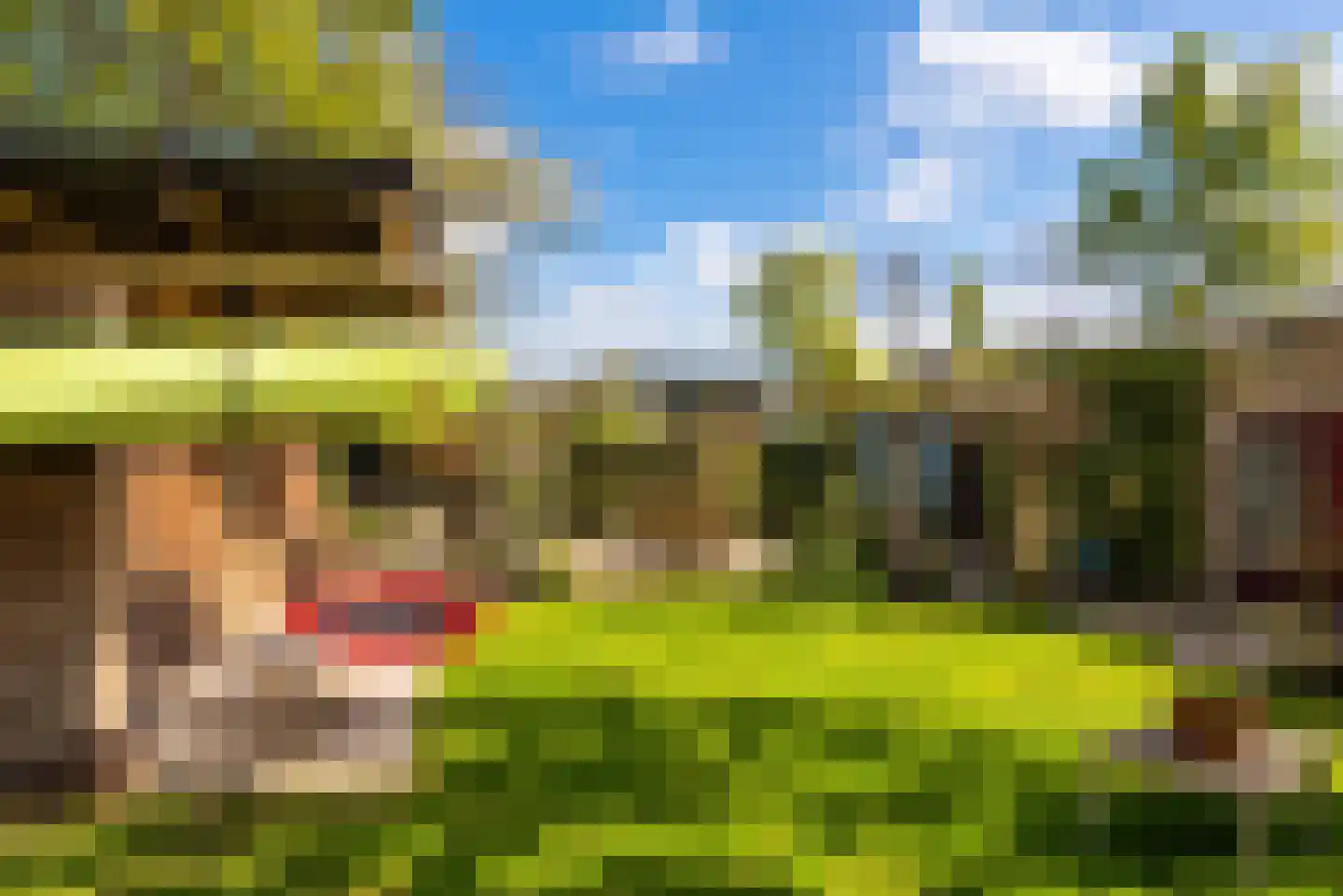 Walstro 70 Leusden thumbnail 45