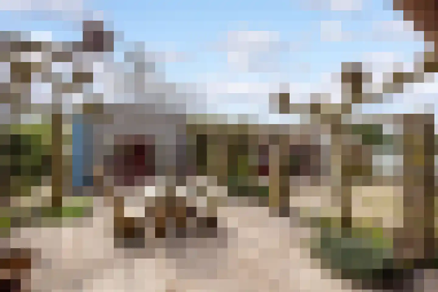 Walstro 70 Leusden thumbnail 46