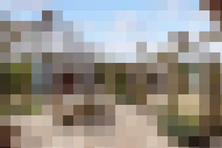 Walstro 70 Leusden thumbnail 46