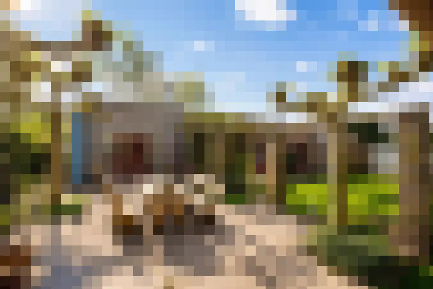 Walstro 70 Leusden thumbnail 47