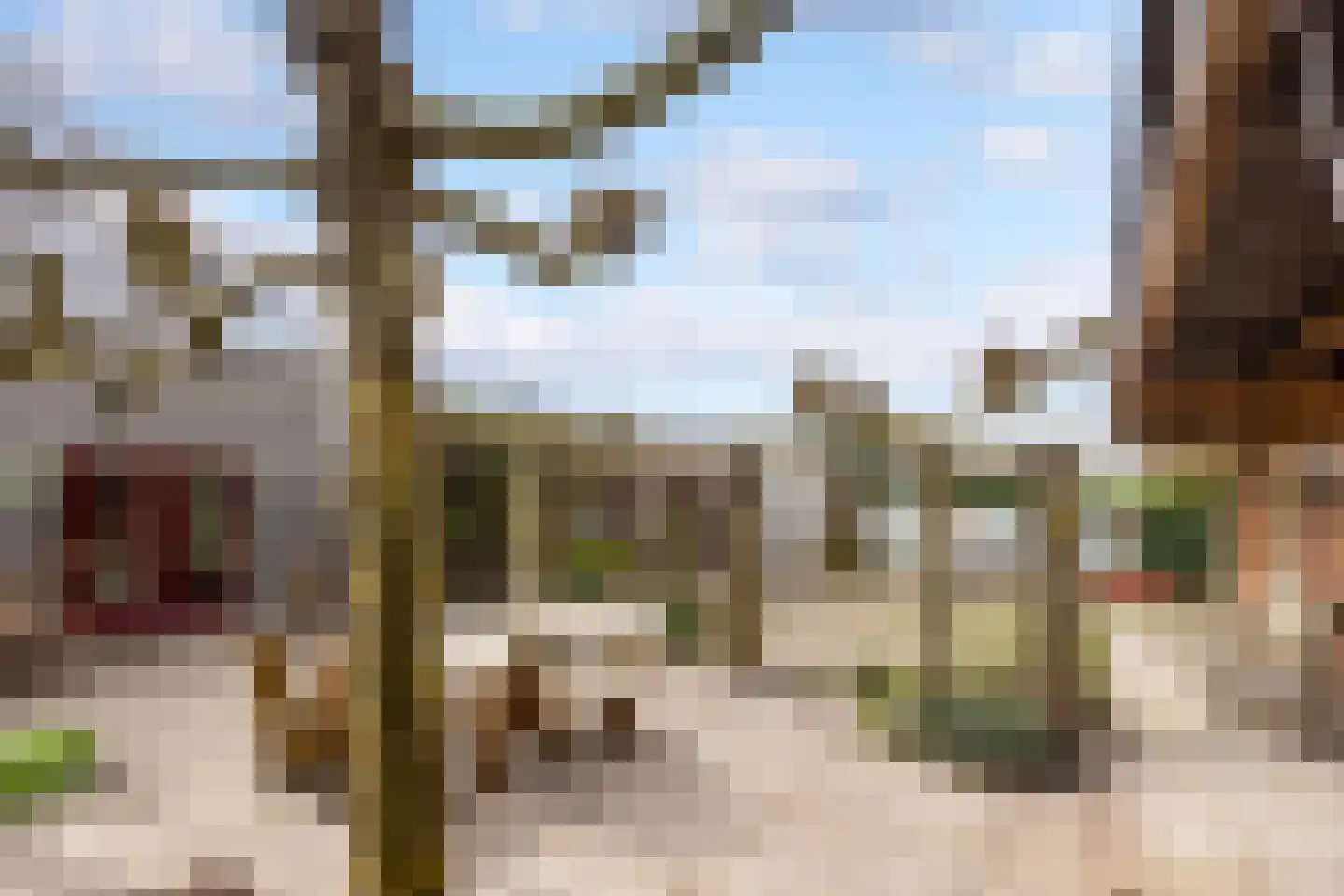 Walstro 70 Leusden thumbnail 48