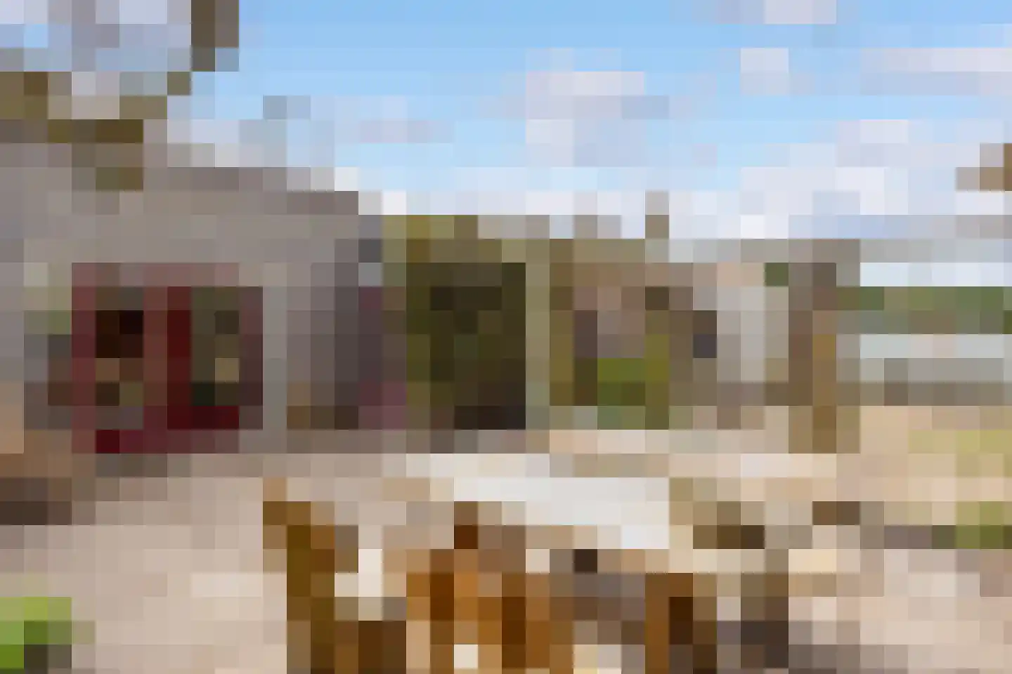 Walstro 70 Leusden thumbnail 49