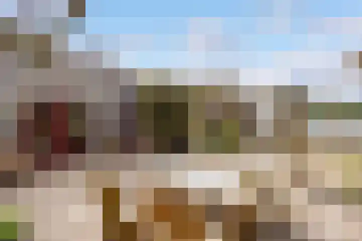 Walstro 70 Leusden thumbnail 49