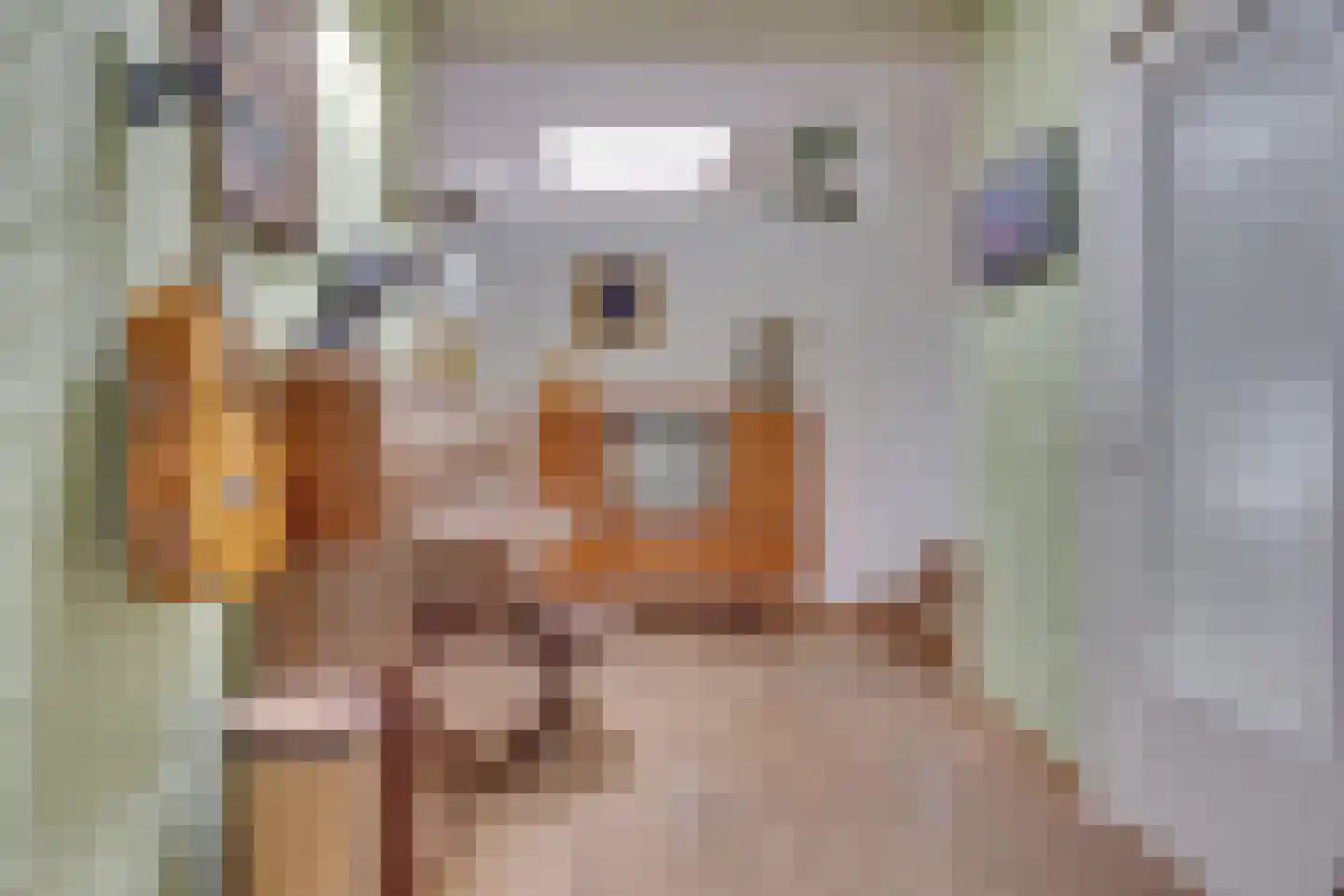 Walstro 70 Leusden thumbnail 5