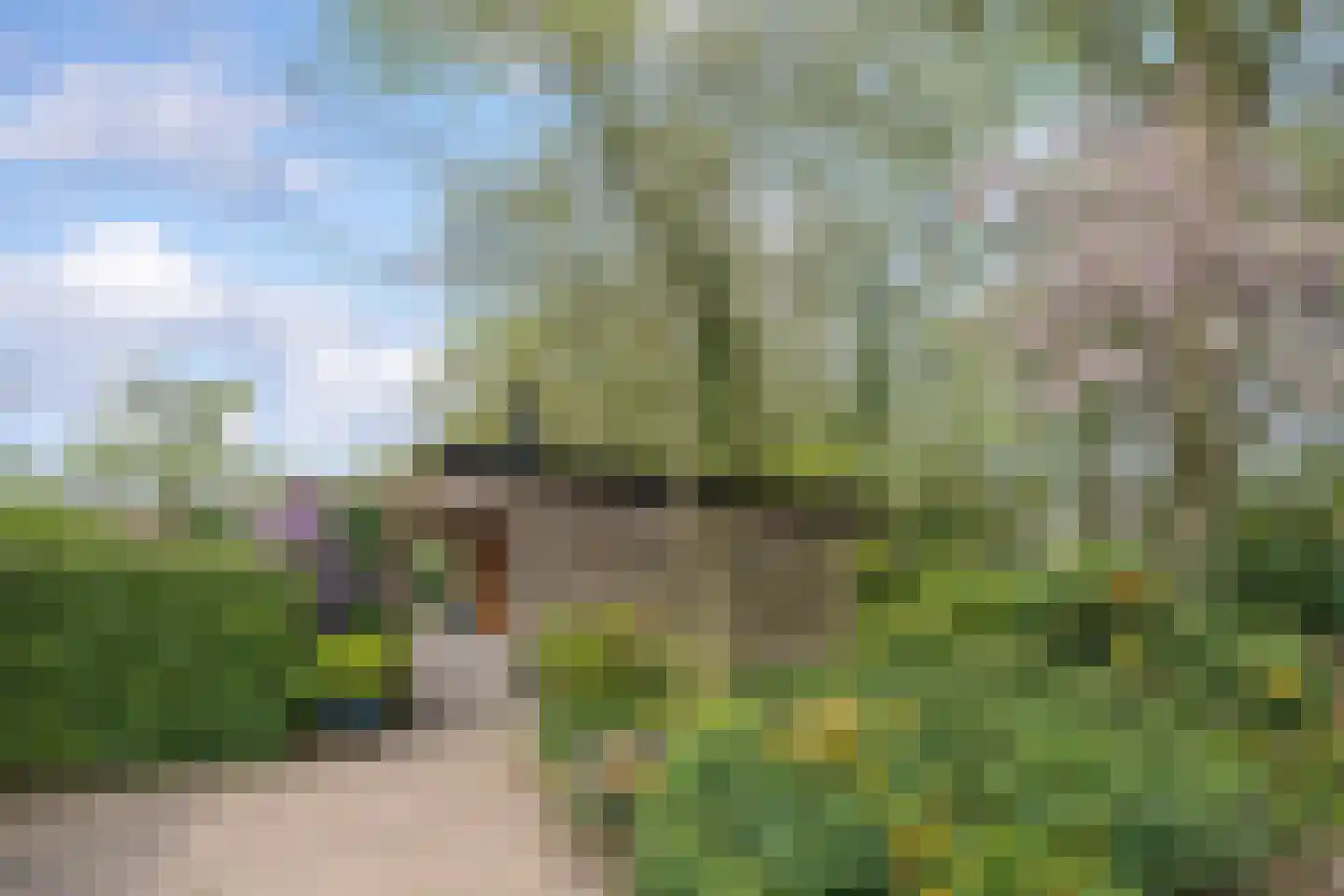 Walstro 70 Leusden thumbnail 50