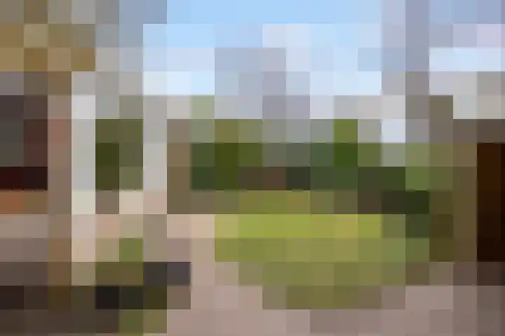 Walstro 70 Leusden thumbnail 51