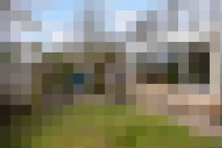 Walstro 70 Leusden thumbnail 52