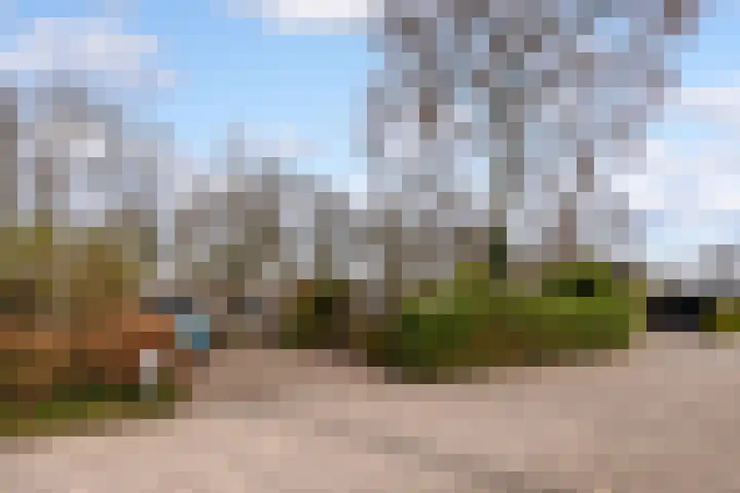 Walstro 70 Leusden thumbnail 53