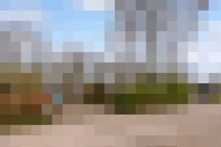 Walstro 70 Leusden thumbnail 53