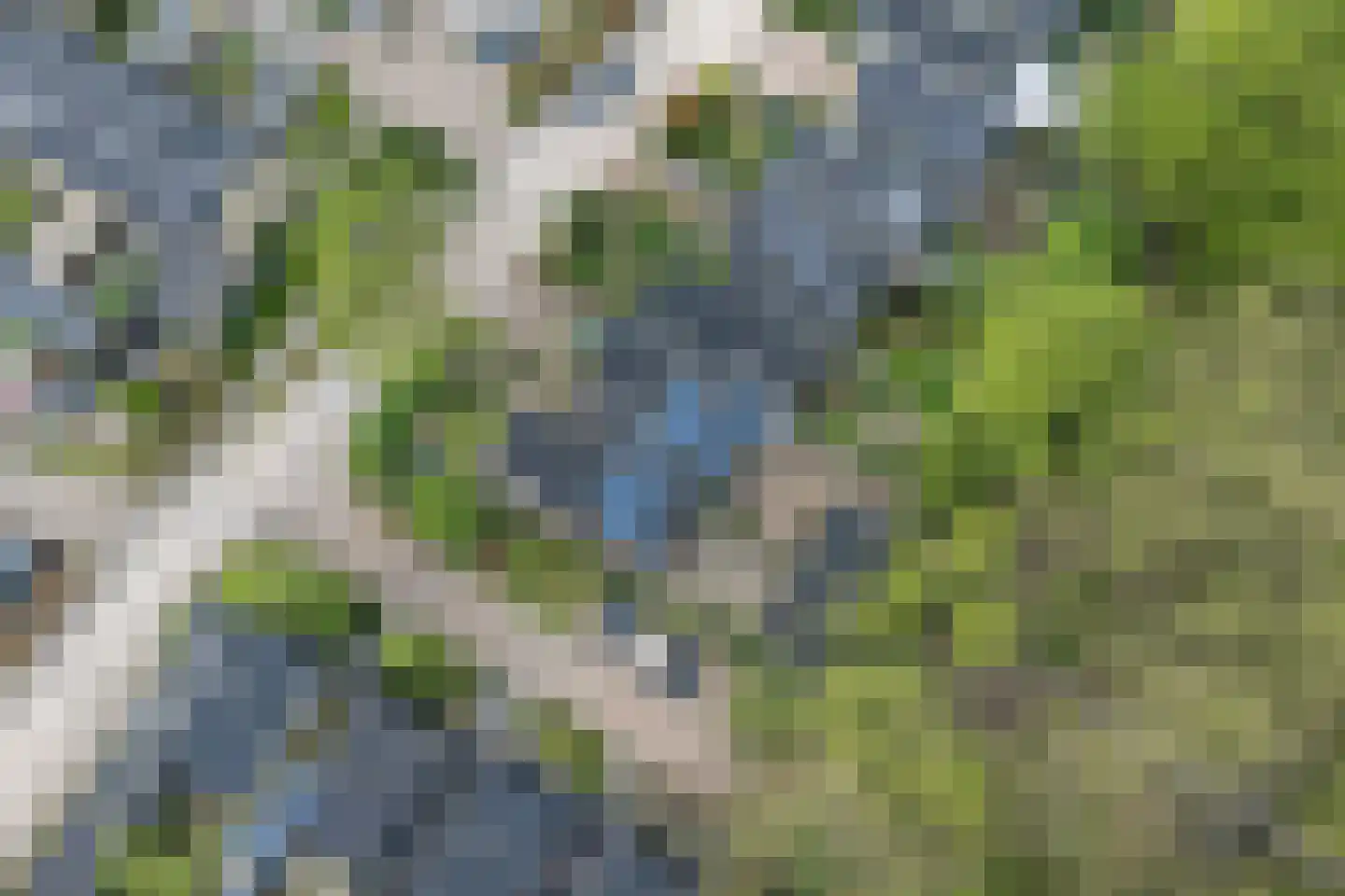 Walstro 70 Leusden thumbnail 55