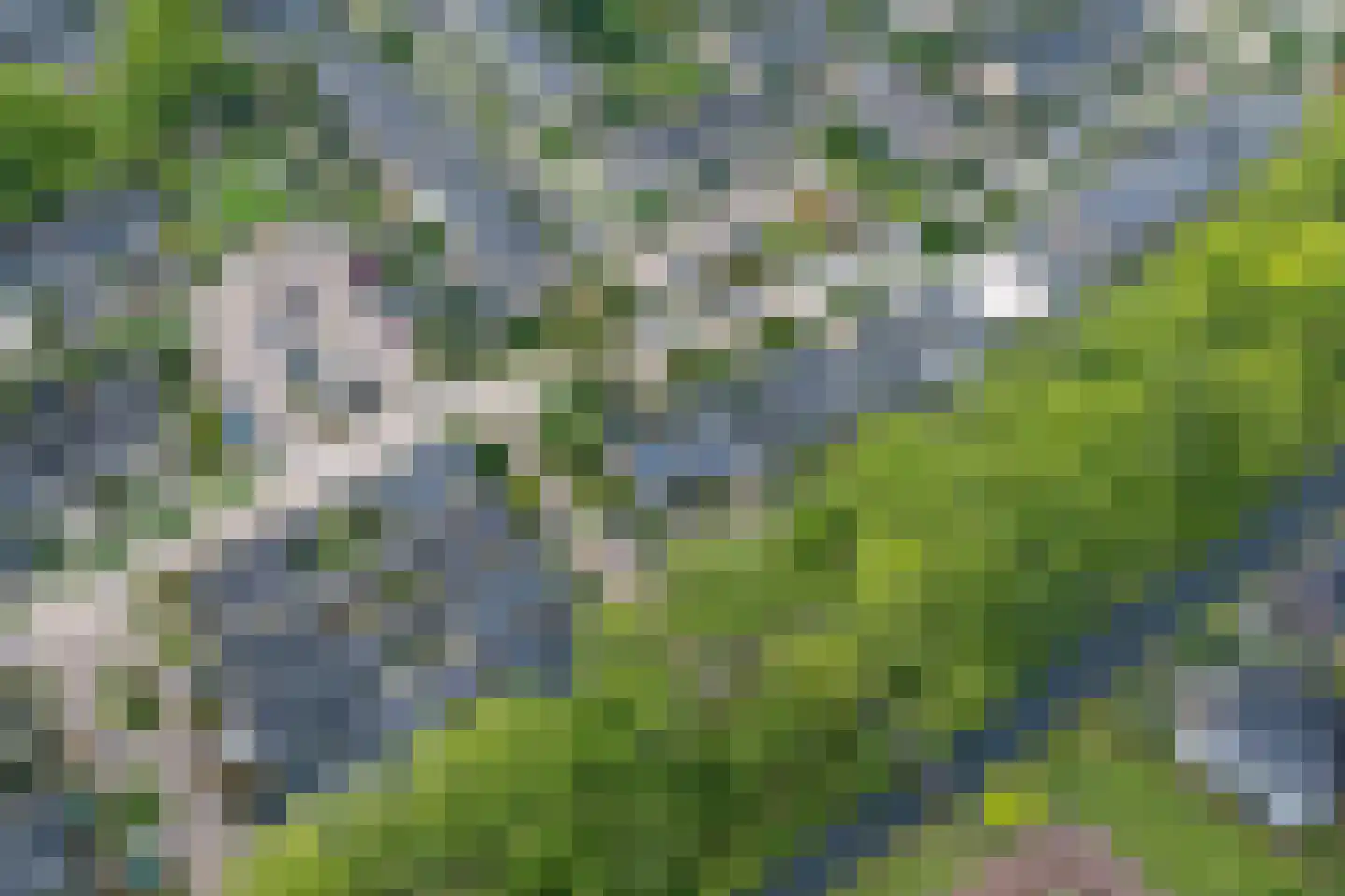 Walstro 70 Leusden thumbnail 56