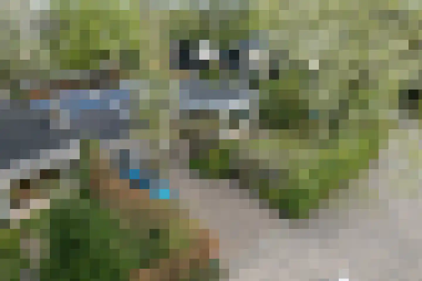 Walstro 70 Leusden thumbnail 57