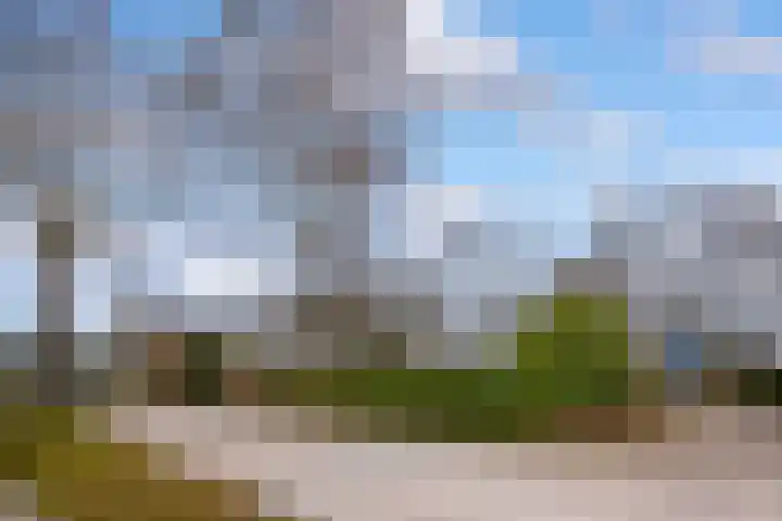 Walstro 70 Leusden thumbnail 59