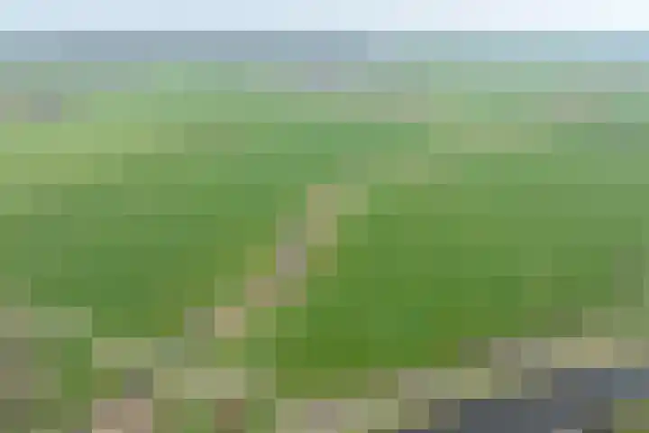 Walstro 70 Leusden thumbnail 60