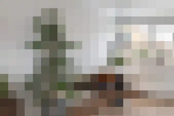 Walstro 70 Leusden thumbnail 9