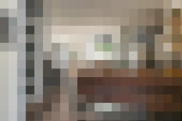 Walstro 70 Sneek thumbnail 10
