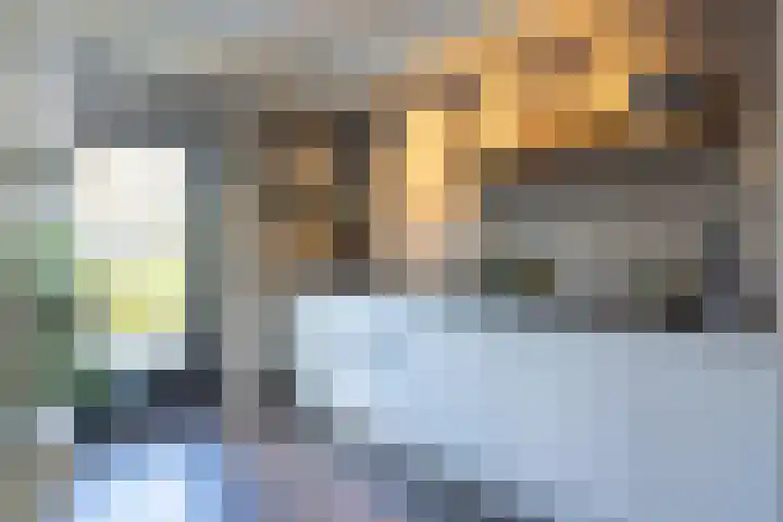 Walstro 70 Sneek thumbnail 12