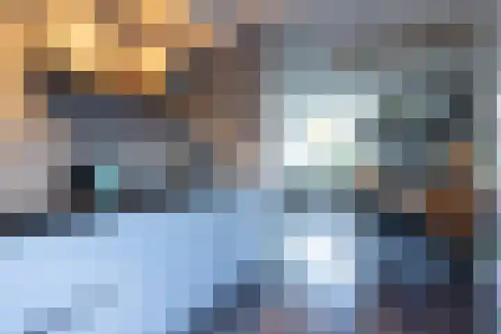 Walstro 70 Sneek thumbnail 13