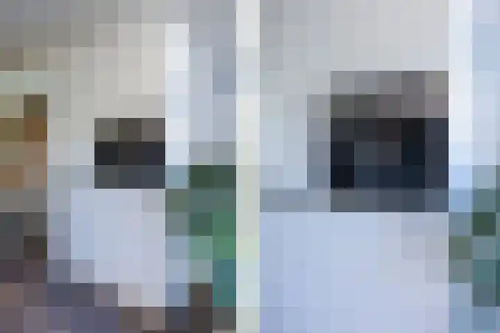 Walstro 70 Sneek thumbnail 15