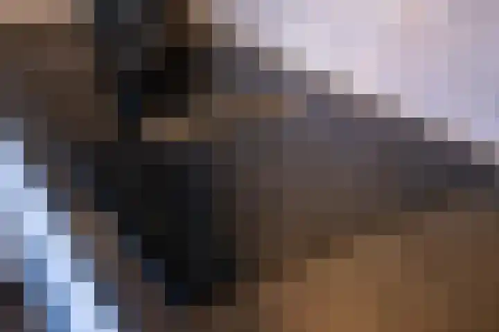 Walstro 70 Sneek thumbnail 16