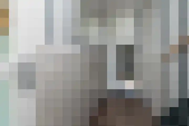 Walstro 70 Sneek thumbnail 18