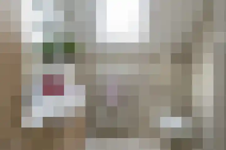 Walstro 70 Sneek thumbnail 28