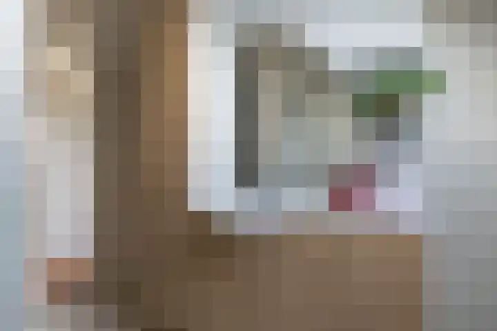 Walstro 70 Sneek thumbnail 29