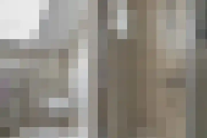 Walstro 70 Sneek thumbnail 30