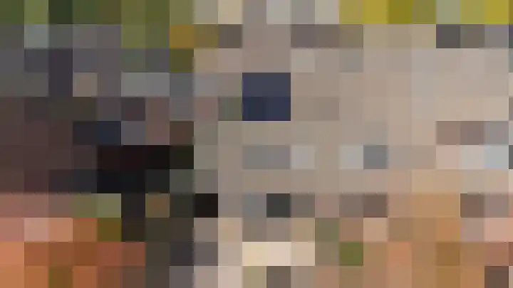 Walstro 70 Sneek thumbnail 34