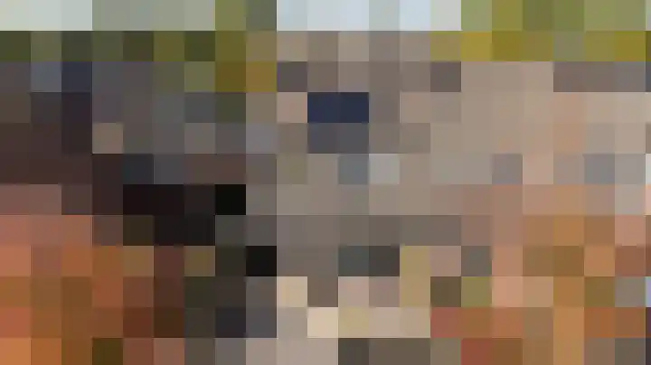 Walstro 70 Sneek thumbnail 35