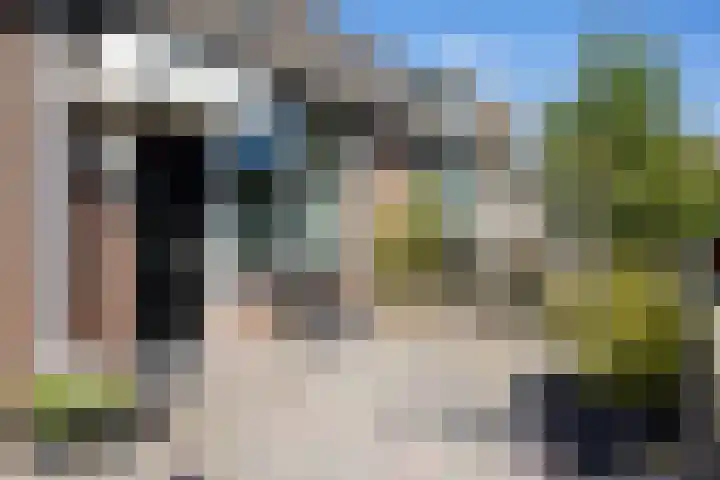 Walstro 70 Sneek thumbnail 36