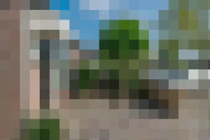 Walstro 70 Sneek thumbnail 37