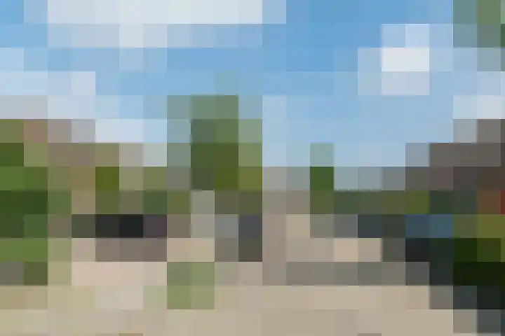 Walstro 70 Sneek thumbnail 38